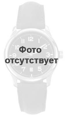 Годинник Casio TIMELESS COLLECTION W-216H-1CVDF
